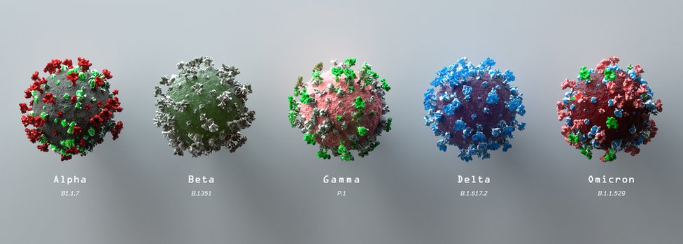 Korona virus: Pet stvari o kojima moramo da vodimo računa posle popuštanja mera 3 Sojevi korona virusa pod mikroskopom