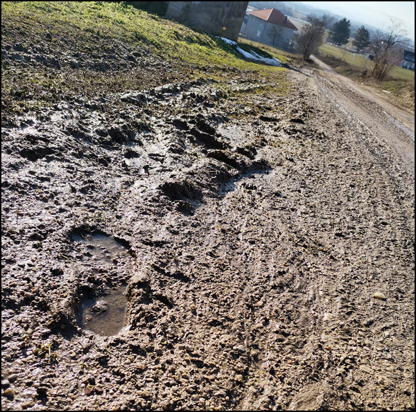 Mojsinje 4