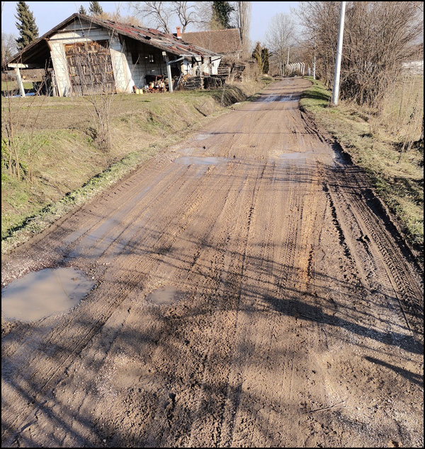 Mojsinje 7