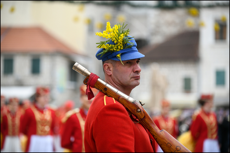 Herceg Novi Mimoza