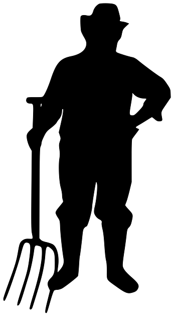 farmer 2