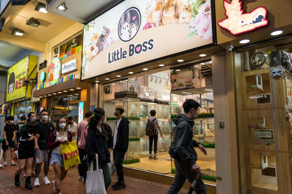 Kina i korona virus: Kako će izmučeni Šangaj konačno izaći iz karantina 3 Shoppers walk outside a Little Boss store in Hong Kong, which sells hamsters and small mammals