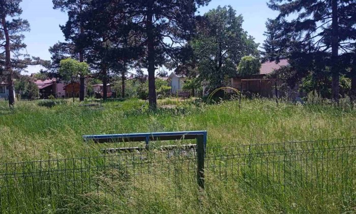 Slika broj 1049899. Dečje igralište se ne vidi od trave, a u dvorištu je mesne zajednice (FOTO)