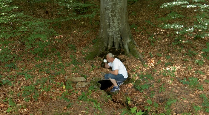 Čačanska kućica na drvetu nova atrakcija (FOTO, VIDEO) 9 kucica8
