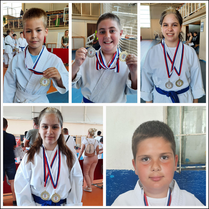 Nemanjići u finalnom kolu Fudokan lige 1 nemanjici 1