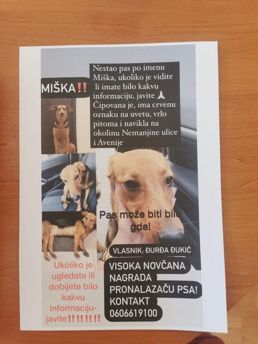 djurdja miska1
