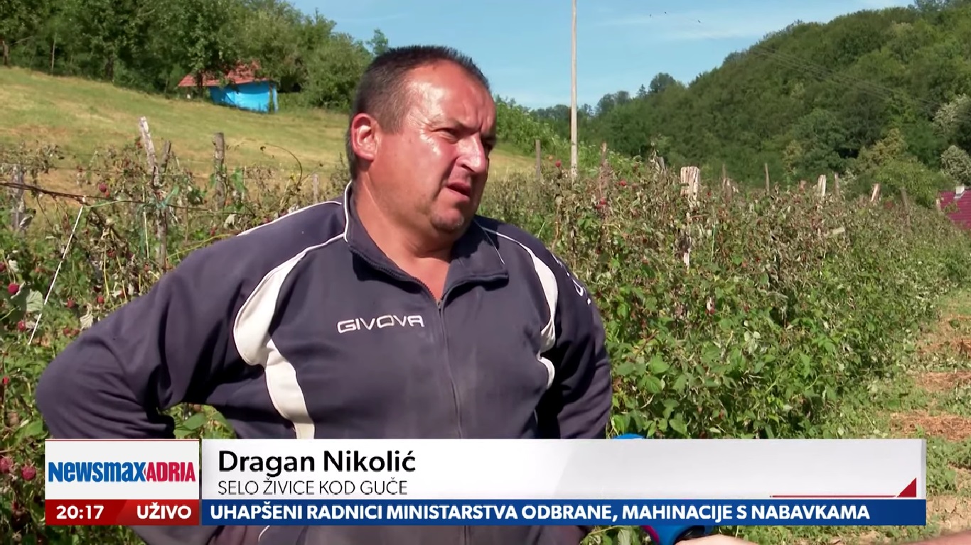 dragan