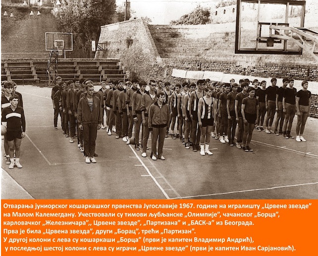 drobnjak8