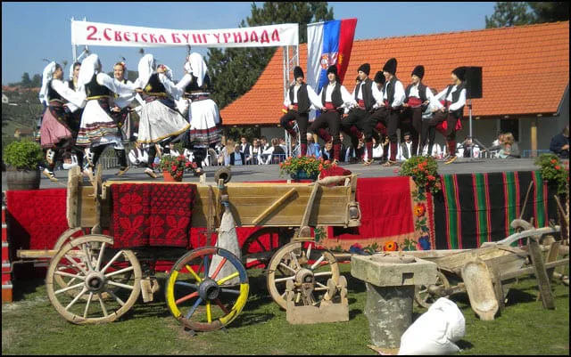 Bungurijada bez bungura 2 Foto Nenad Eric