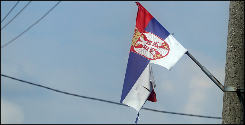 Zastave u Srbalja 4 zastave Guca 2
