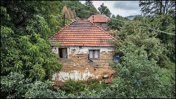 cvetkovici 4