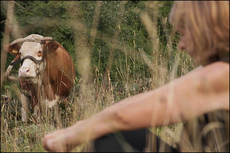 mothers milk photo