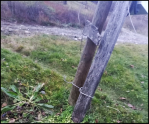 struja 5