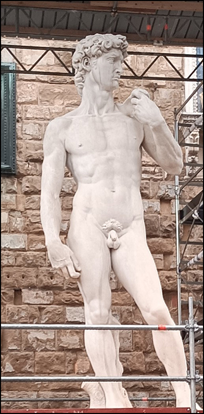 Firenca David