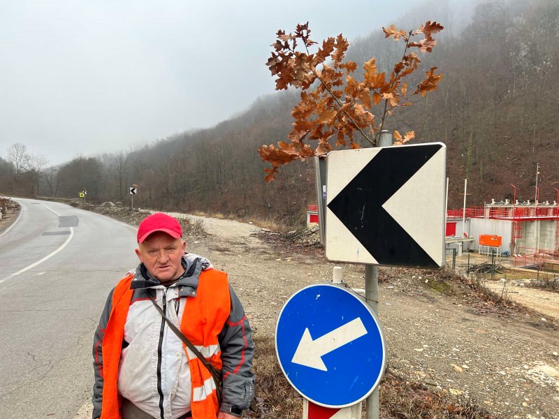 bosko badnjak