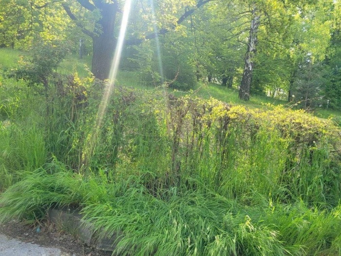 spomen park
