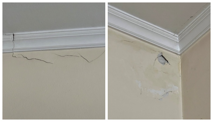 zid1