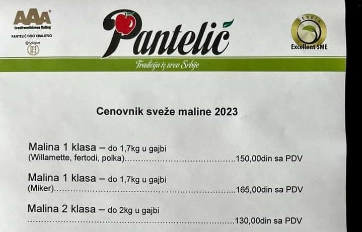 pantelic