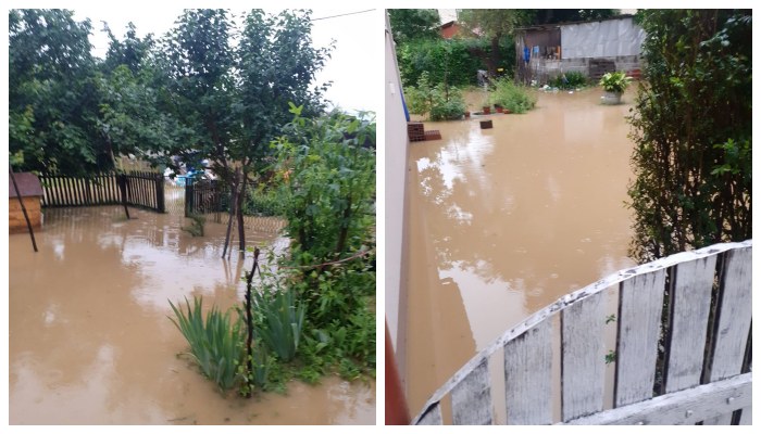 poplave