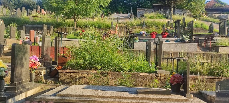 Zapušteno groblje nema opravdanja (FOTO) 3 groblje3