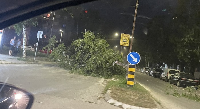 Protutnjalo nevreme kroz Čačak, oborena stabla, stradala Gradska plaža, semafori... 2 sveti sava
