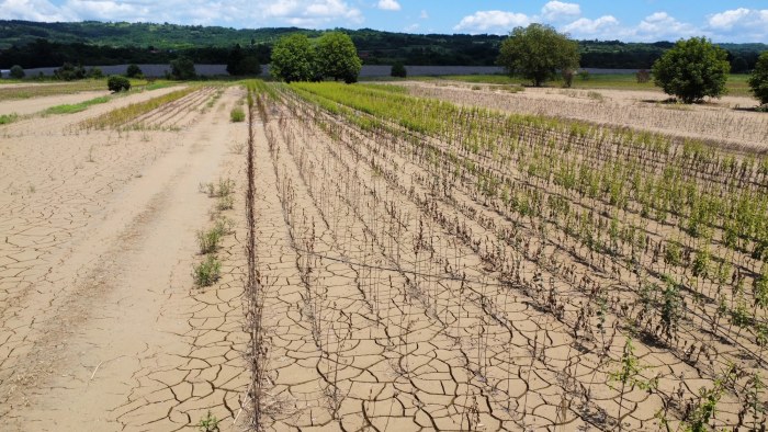 Selo potopljeno greškom, svi beže od odgovornosti (FOTO, VIDEO) 5 trstenik.jpg3