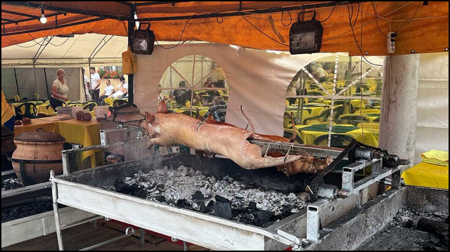 Afrička kuga svinja 2 Sabor u Guci foto OzonPress