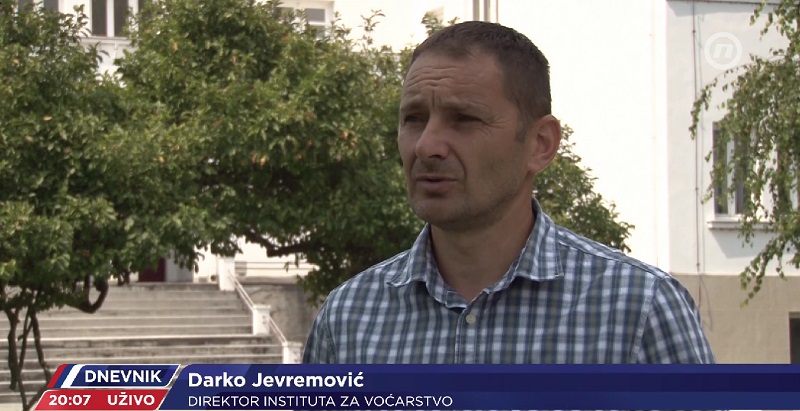darko jevremnovic