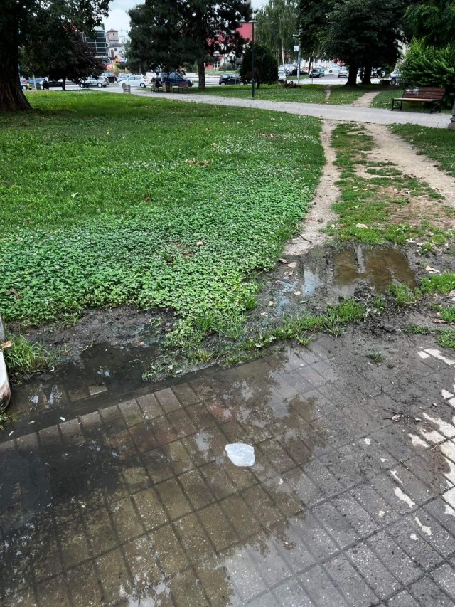 park