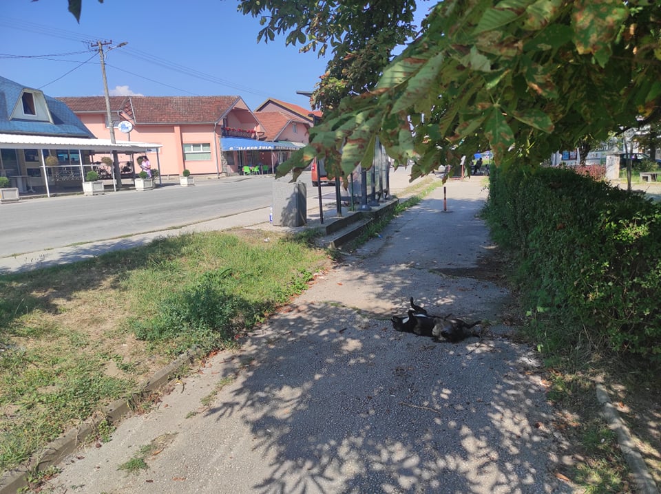 slatina
