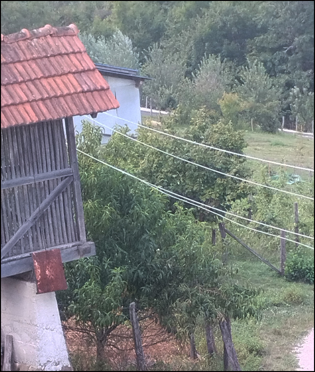 struja 1