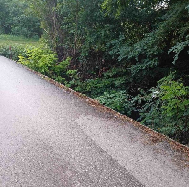 Most u Vapi oštećen dve godine, nadležni ne reaguju (FOTO) 1 most vapa