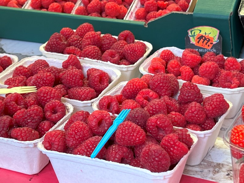 maline