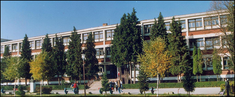 skola