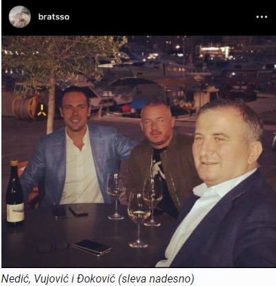 vujovic nedic