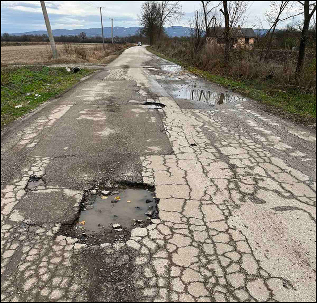 babsko polje 7