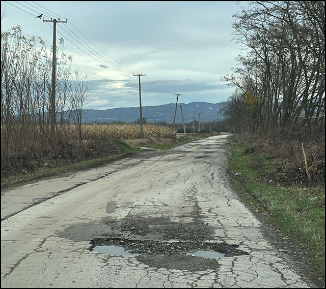 babsko polje 8