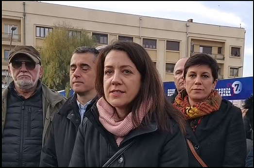 Jelena Jerinic Zeleno levi front