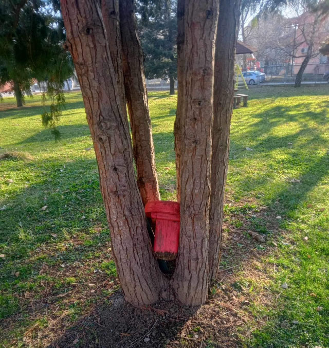 Raspalo se dečje igralište u dvorištu Zračka (FOTO) 6 zracak