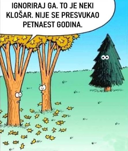 humor 2
