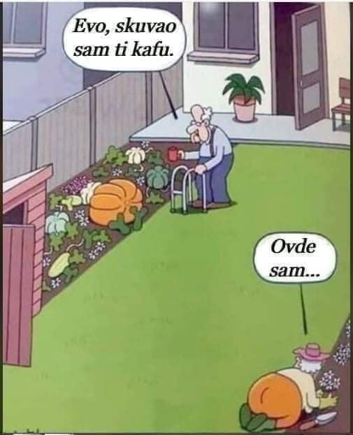 humor6 1