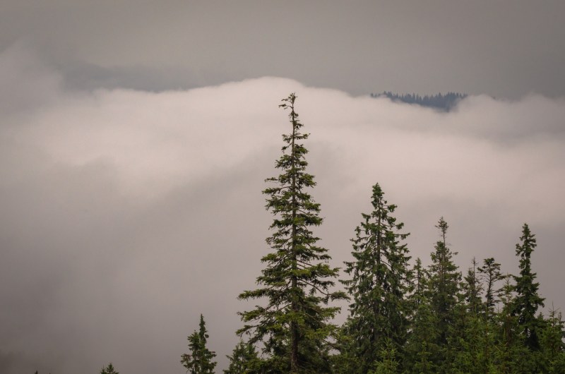 kisa planina