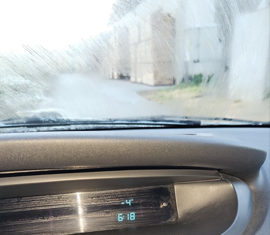 JAK mraz "obrao" voće u Ivanjici (FOTO) 3 mraz3