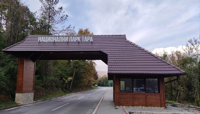 tara3