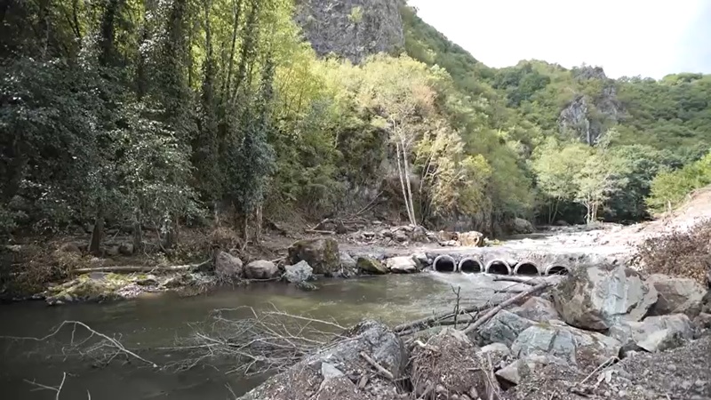STUDENICA