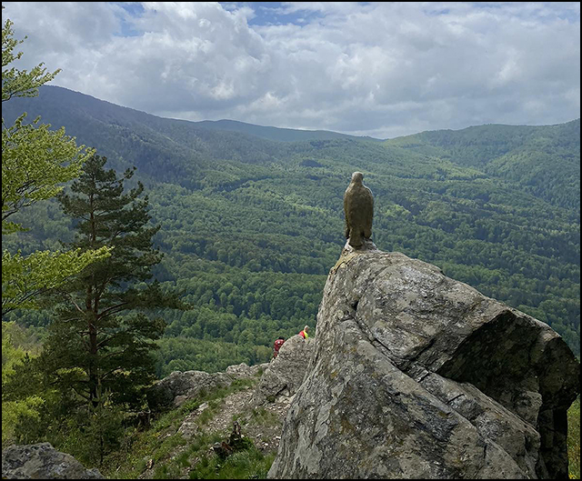 Treking i trejl liga Srbije 4. kolo 3
