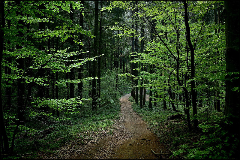 Treking i trejl liga Srbije 4. kolo 4