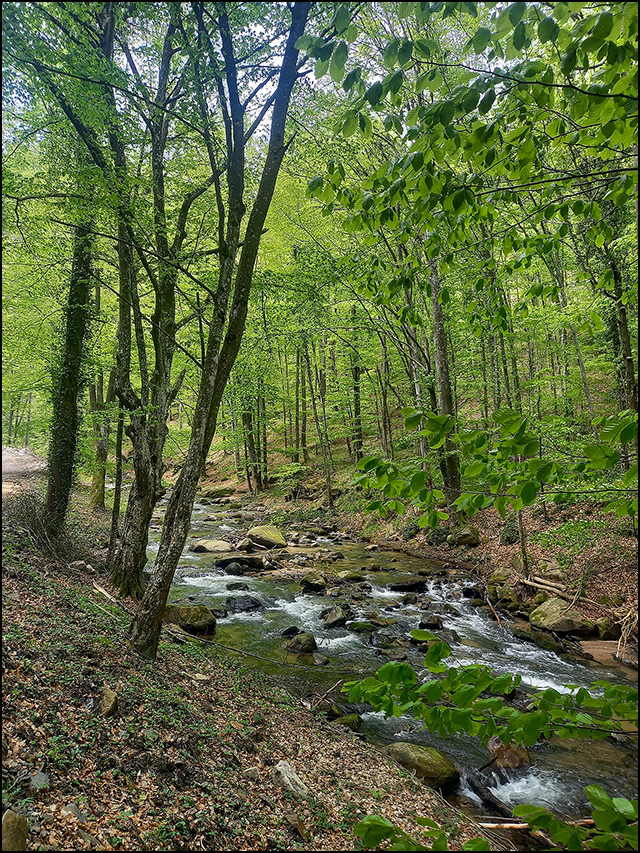 Treking i trejl liga Srbije 4. kolo 5