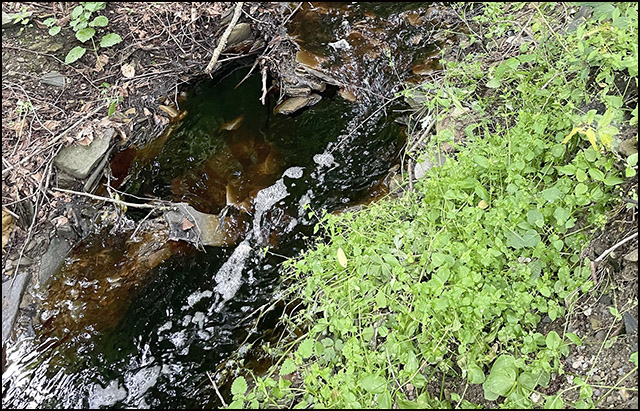 Osim zagađenja vazduha zbog požara na užičkoj deponiji, ugroženi i vodotokovi u zapadnoj Srbiji 2 Turski potok Foto Zaklina Zivkovic 1