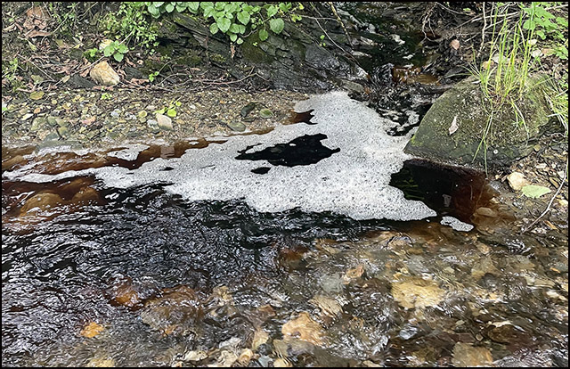 Osim zagađenja vazduha zbog požara na užičkoj deponiji, ugroženi i vodotokovi u zapadnoj Srbiji 1 Turski potok Foto Zaklina Zivkovic